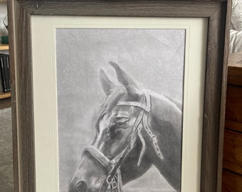 Horse Head, Pencil Drawing, Framed, Animal Portrait, Wall Hanging, Collectible, ~ 240418-WH HME