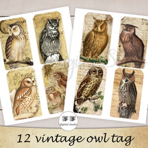 May include: Twelve vintage owl tags with various owl illustrations. The tags are rectangular and have a distressed, antique look. The owls are depicted in different poses and colors, including brown, gray, and white.