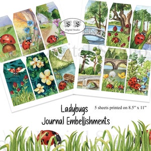 Tag coccinelle, sfondo naturale, abbellimenti del diario spazzatura, effimeri, carta stampabile, fogli collage, vintage, scrapbooking digitale