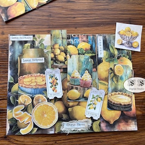 Puede incluir: Un collage de imágenes con limones, ilustraciones con temática de limones y texto. El texto incluye "Lemon Sanctuary", "Lemon Retrest", "Lemony", "Citrus Haven", "Admit One" y "Digital Studio".
