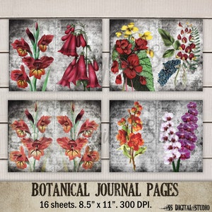 Vintage, floral, Revista botánica Papel, Digital, fondo, descarga digital, artesanía, álbum de recortes, diario basura, tamaño carta