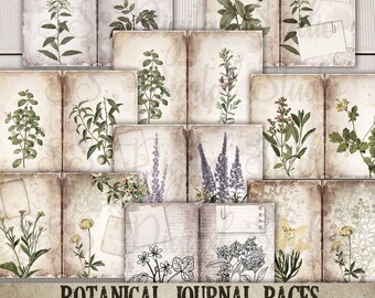 Botanical Herbs Journal Paper: Vintage Scrapbook Pages (Digital Download)