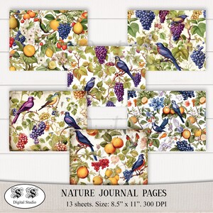 13 Blatt Vintage botanische Journal Seite, Natur digitales Scrapbook Papier Pack. Blumig. digital. druckbar