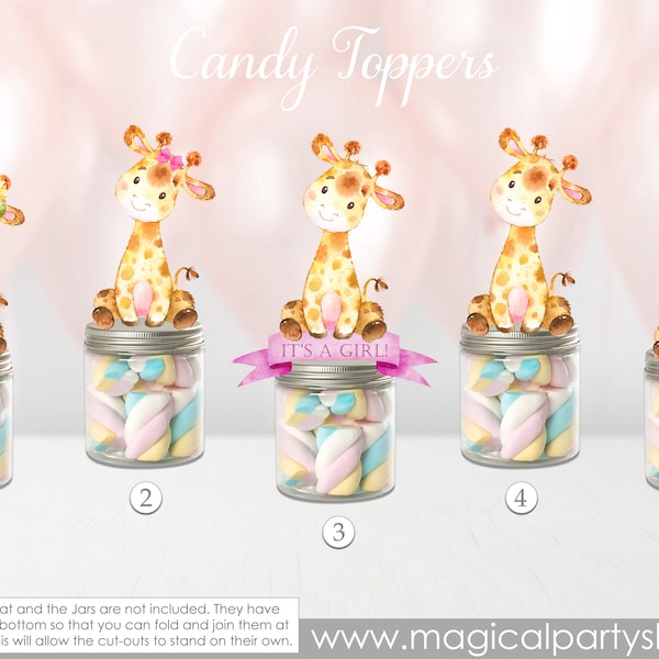 Giraffe Baby Girl Shower Party Favors | Baby Giraffes | Baby Shower Centerpiece