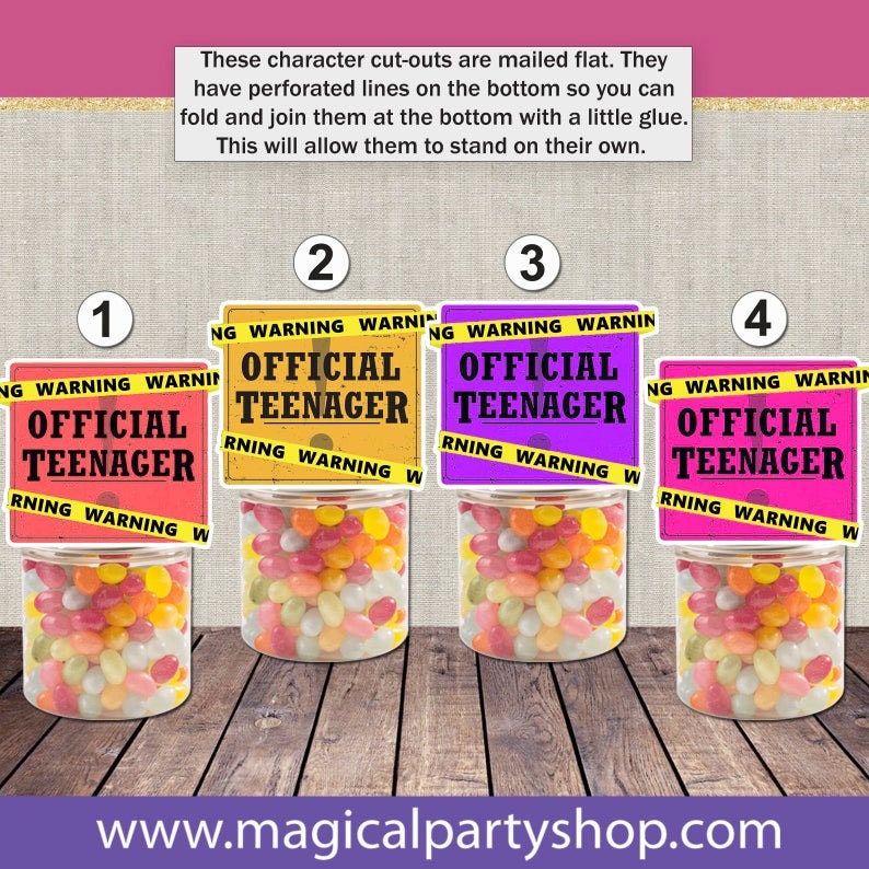 Official Teenager Party Favors 13th Birthday Cake Topper Etsy