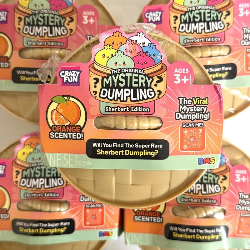 Mystery Squishy Dumpling Toy - Etsy
