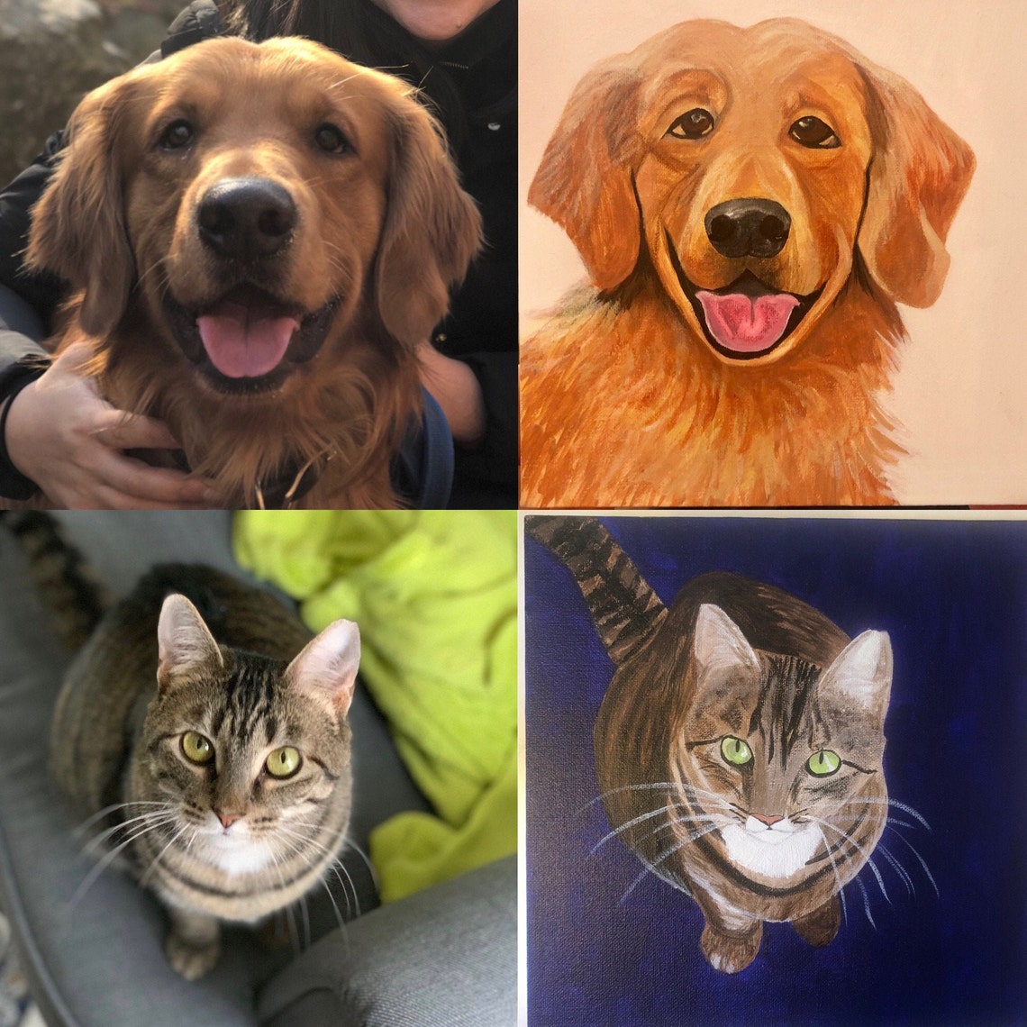 Custom Handpainted Pet Portrait on Solid Color Background Etsy