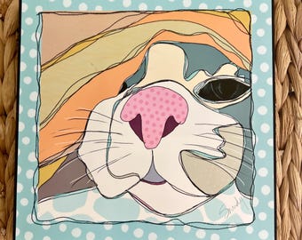 Cat Nap