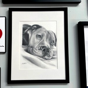 Customized Pet Portrait, Dog, Cat, Small Animal Drawing, Gift, Drawing from Photo