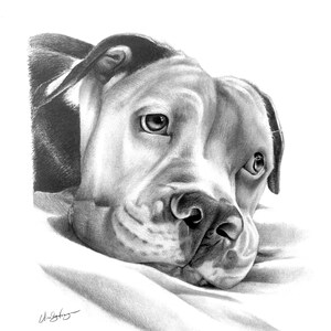 Customized Puppy Portrait, Dog, Cat, Small Animal, Drawing, Gift