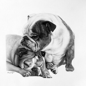 Customized Dogs Portrait, Dog, Cat, Pet, Drawing, Gift, Drawing from Photo
