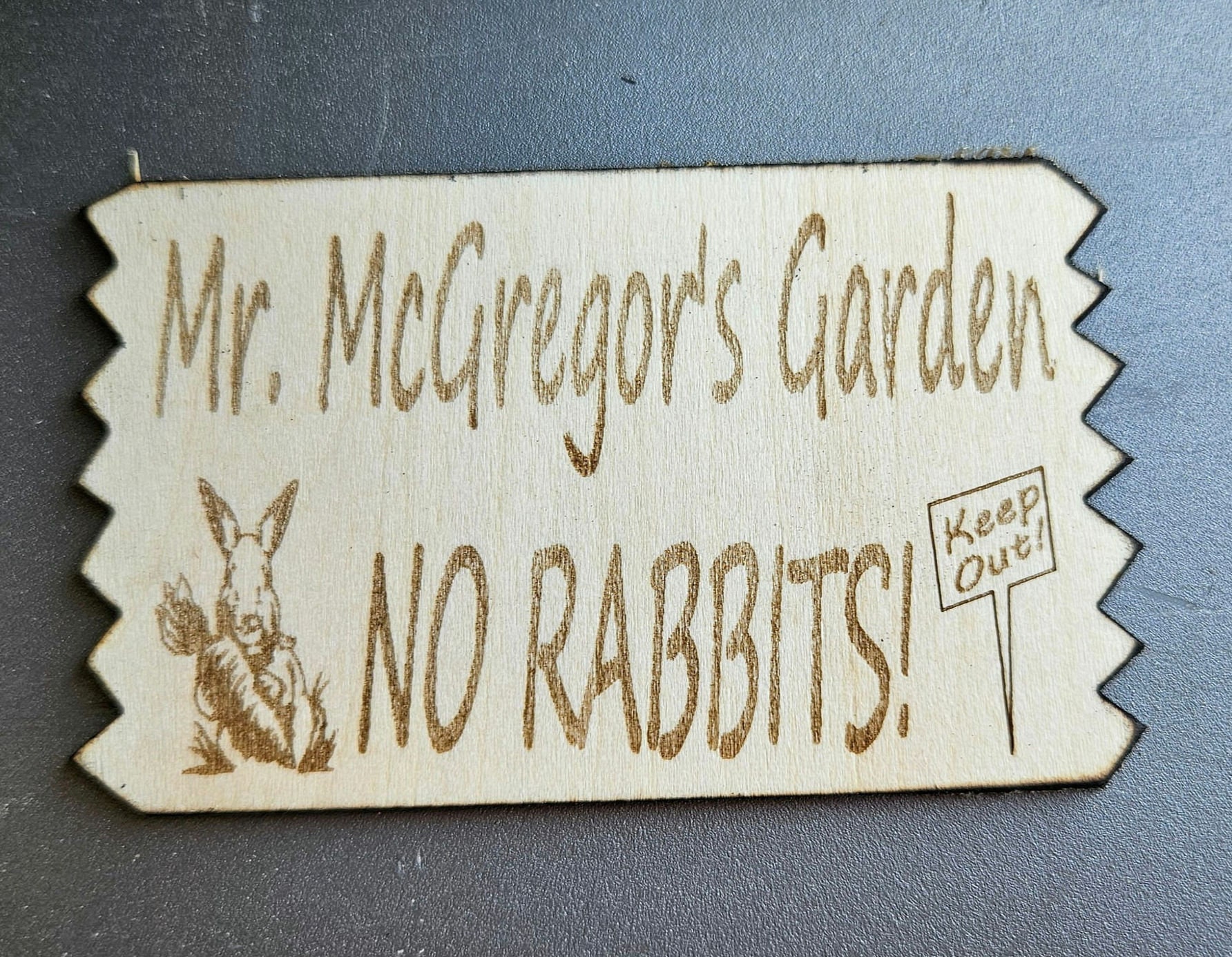 Peter Rabbit Cotton Tail, Mr. Mcgregor's Garden, Wood Sign