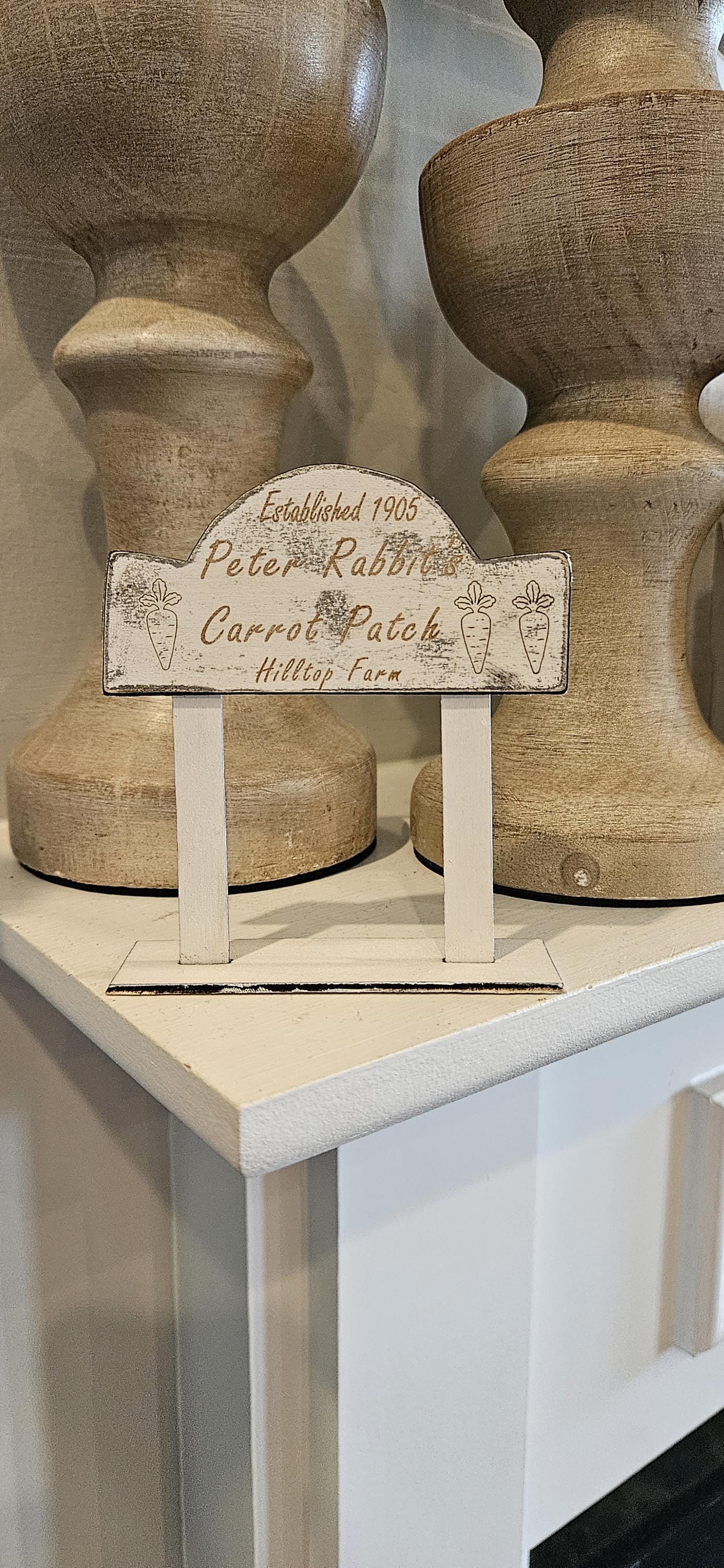 Peter Rabbit Cotton Tail, Mr. Mcgregor's Garden, Wood Sign, Rabbit