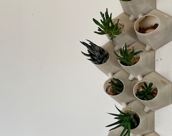 Wall planter- hydroponic wall planter- succulent wall planter- unique planter-hydroponic planter-wall decoration