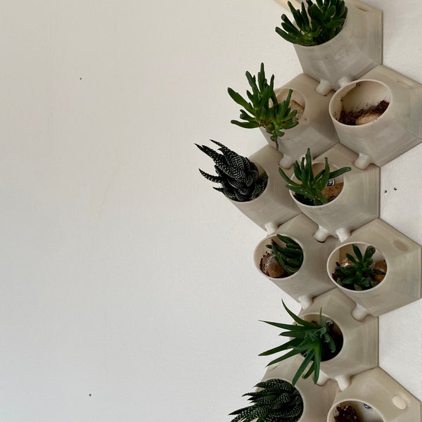 Wall planter- hydroponic wall planter- succulent wall planter- unique planter-hydroponic planter-wall decoration