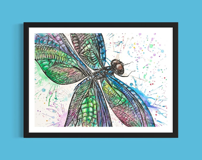 Dragonfly Art Print