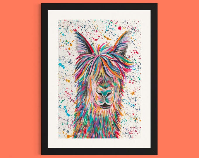 Llama Art Print ‘Hamilton’