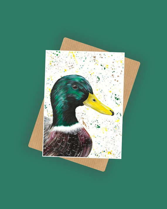 Drake Duck Greetings Card