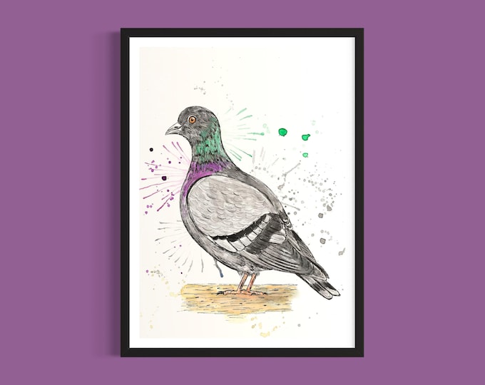 Pigeon Art Print
