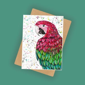 Macaw Parrot Greeting Card: &#39;Marvin&#39; Blank Note Card (A6)