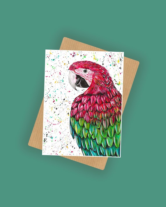 Macaw Parrot Blank Greeting Card ‘Marvin’