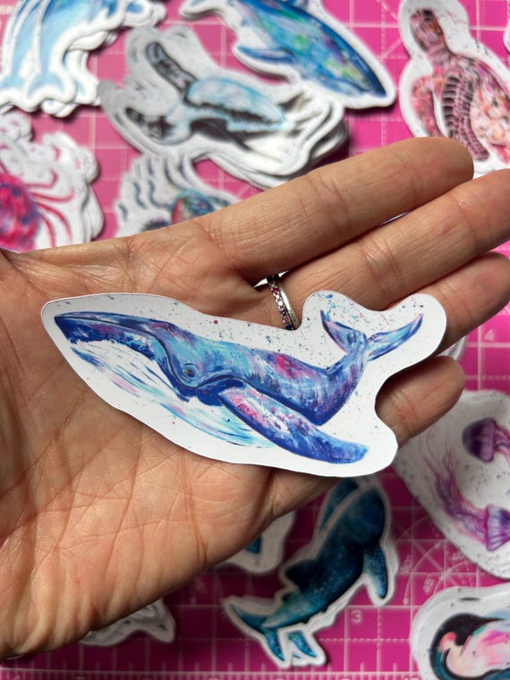 Humpback Whale Vinyl Sticker: Sea Life Animal Decal