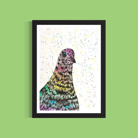 Rainbow Pigeon Art Print