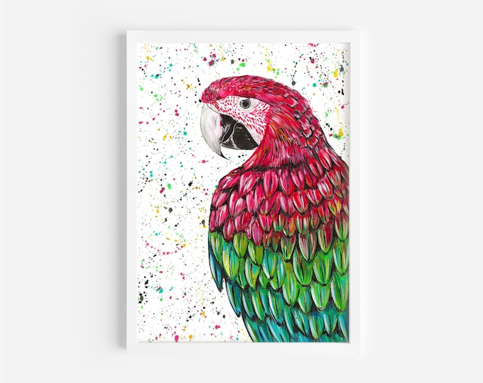 Macaw Painting ‘Marvin’
