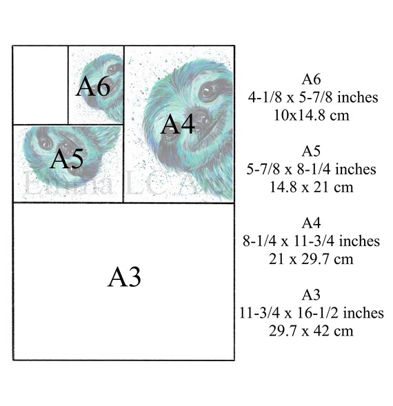 Parrot Art Print Macey Macaw Painting From An Etsy Mexico