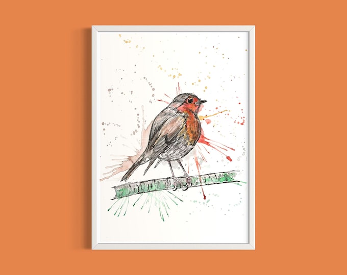 Robin Art Print