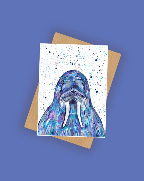 Walrus Birthday Card ‘Tim’