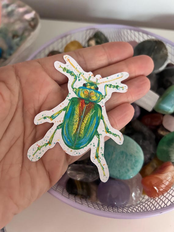 Rainbow Beetle Sticker