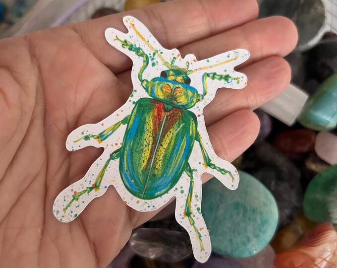 Rainbow Beetle Sticker