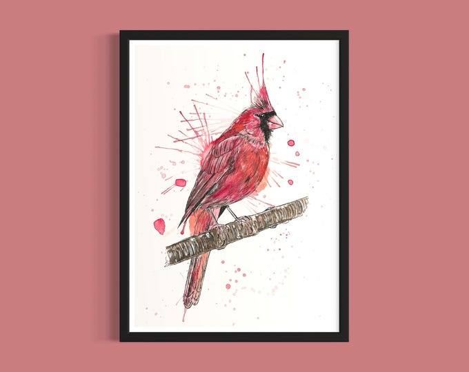 Red Cardinal Art Print