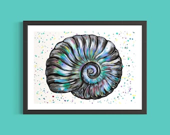 Iridescent Ammonite Art Print