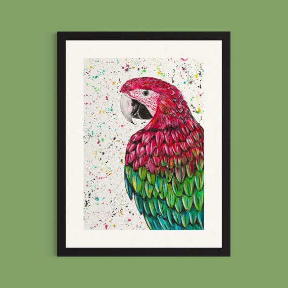 Macaw Parrot Art Print ‘Marvin’