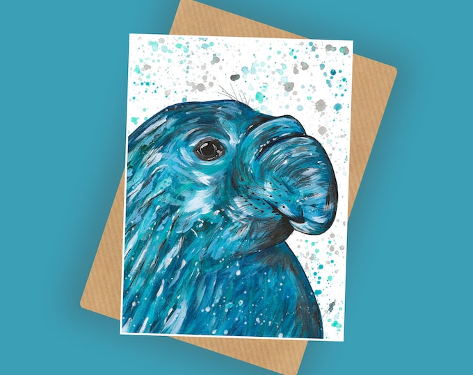Elephant Seal Card