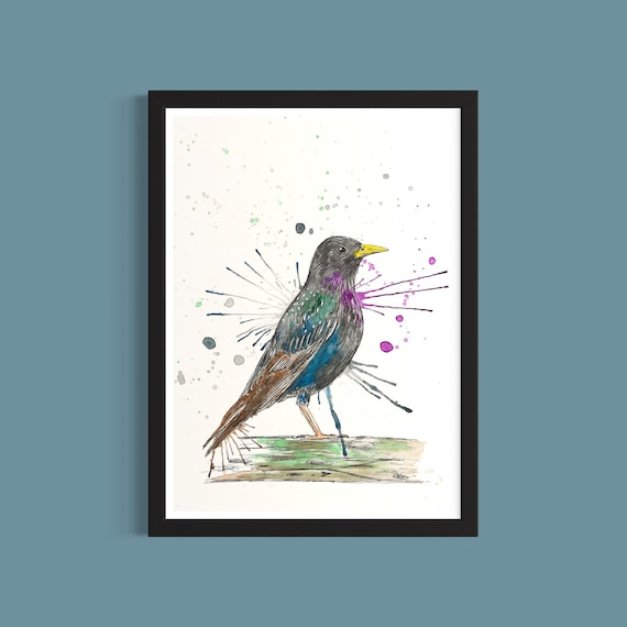 Starling Art Print