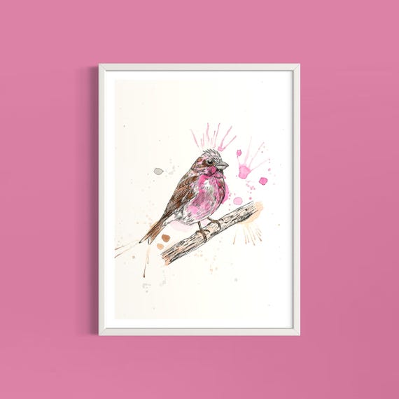 Purple Finch Art Print