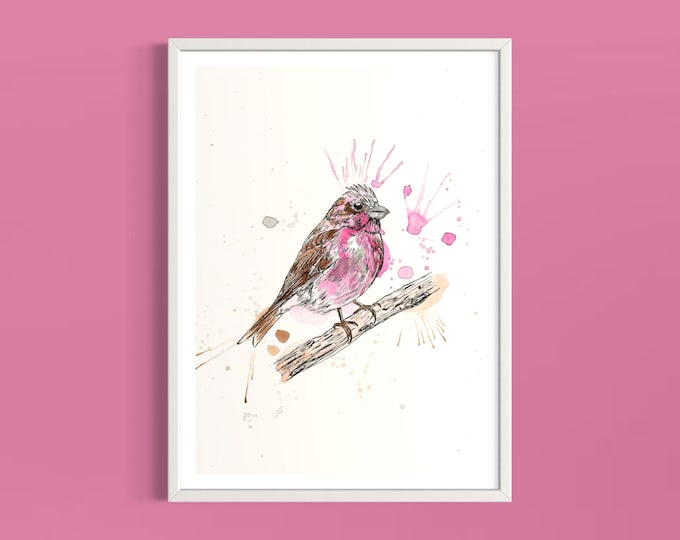 Purple Finch Art Print