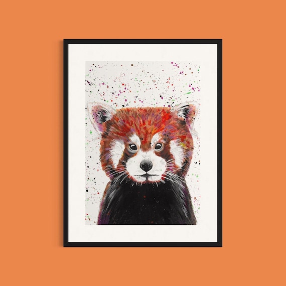 Red Panda Art Print ‘Eddie’