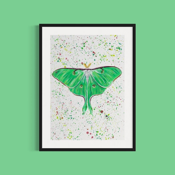 Luna Moth Art Print