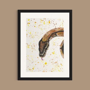 Python Snake Art Print: Colorful Reptile Painting