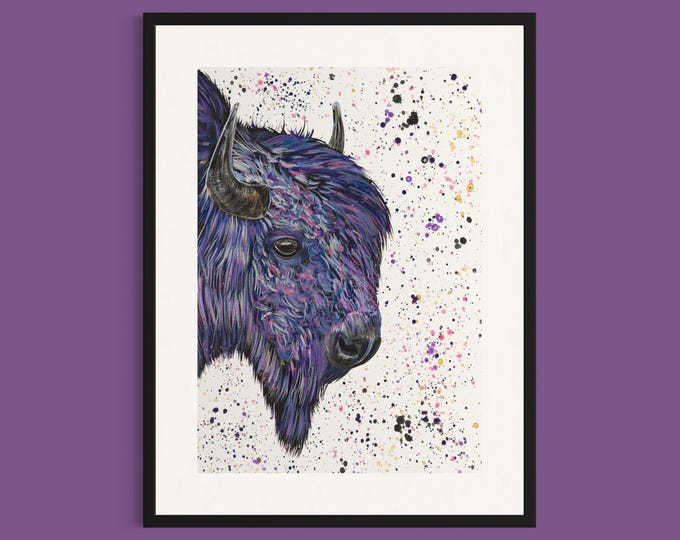 Bison Art Print ‘Banjo’