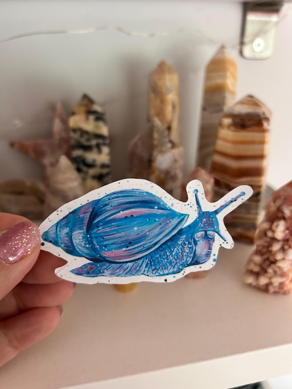 Snail Sticker