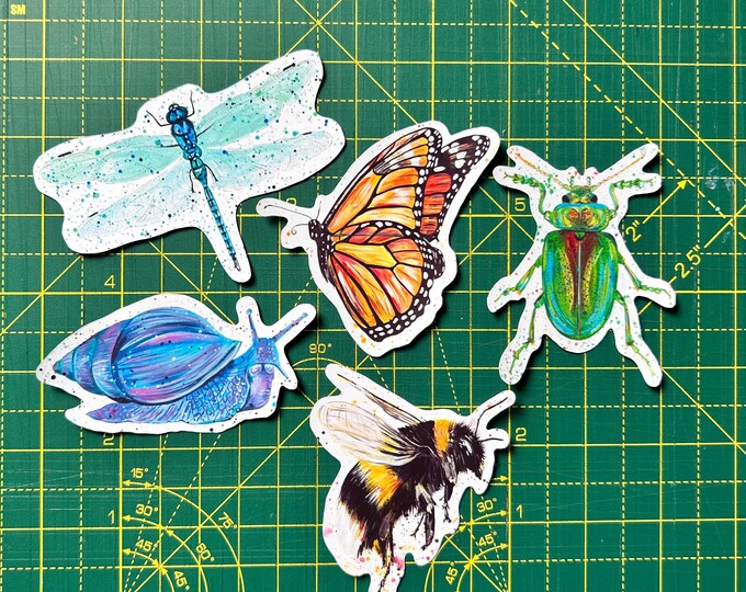 Insect Sticker Pack, 5 Designs