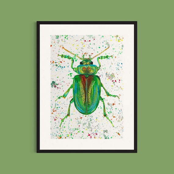 Rainbow Beetle Print ‘Rupert’