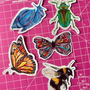 Insect Sticker Pack: Butterfly, Bee, Snail, Beetle - Vinyl Decals