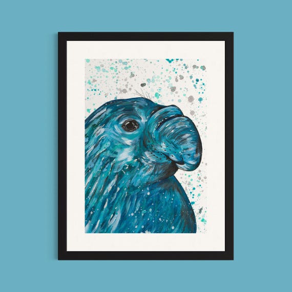 Elephant Seal Art Print ‘Dave’