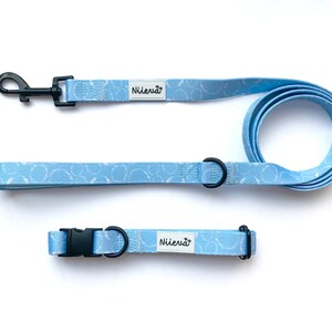Puede incluir: Un juego de collar y correa para perro de color azul claro con un patrón blanco y la palabra "Nileria" impresa en ambos. La correa tiene un clip de metal negro y un anillo de metal negro.